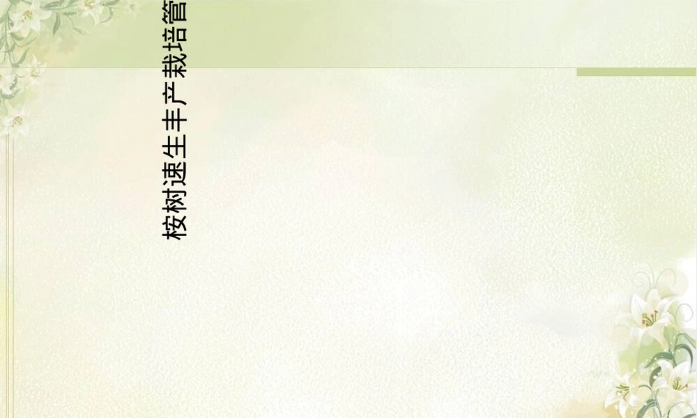 桉树速生丰产栽培管理技术PPT课件.ppt