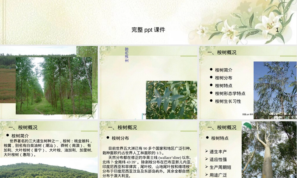 桉树速生丰产栽培管理技术PPT课件.ppt