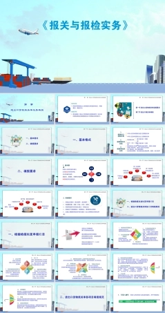 第十章报关单及其填报教学PPT课件.pptx