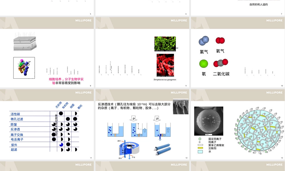 Millipore纯水机原理与应用PPT课件.ppt