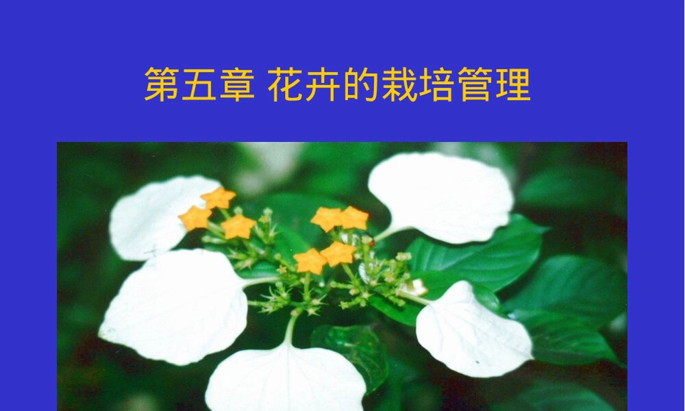花卉栽培学第五章观赏花卉栽培管理PPT课件.ppt