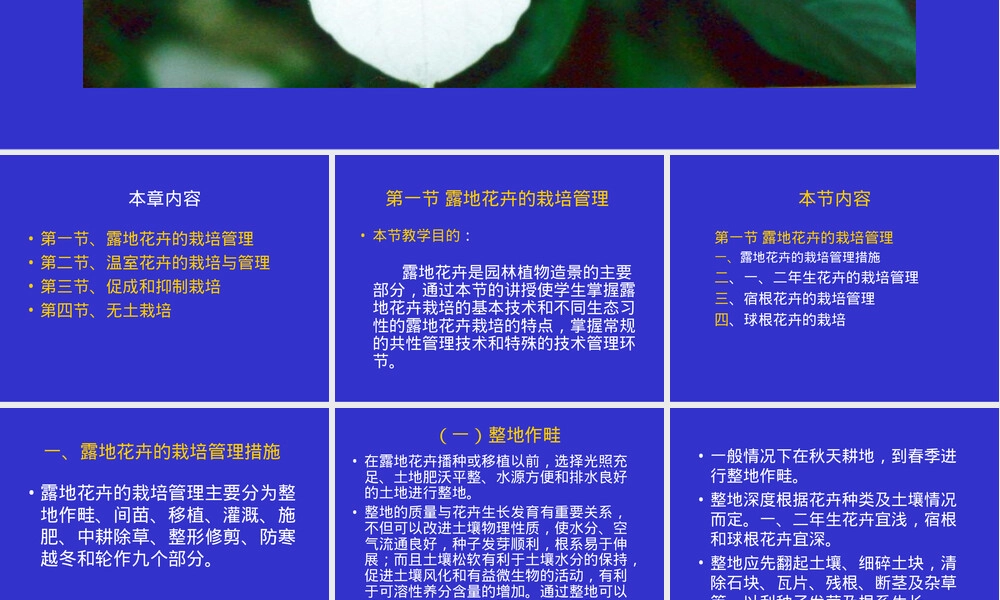 花卉栽培学第五章观赏花卉栽培管理PPT课件.ppt