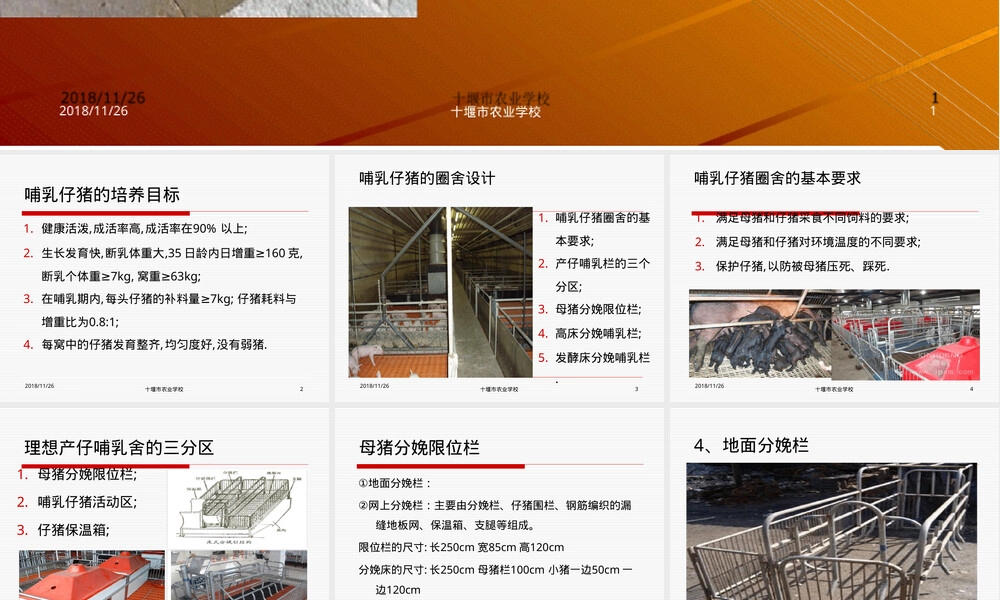 哺乳仔猪饲养管理技术PPT课件.ppt