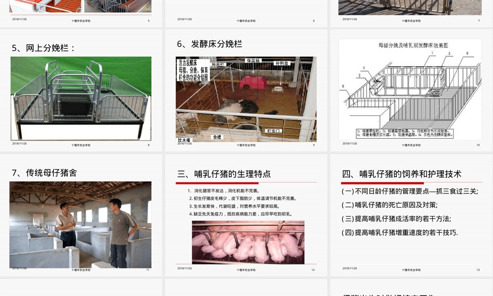 哺乳仔猪饲养管理技术PPT课件.ppt