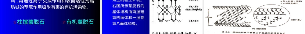 环境矿物材料及其在先进絮凝剂制备中的应用PPT课件.ppt