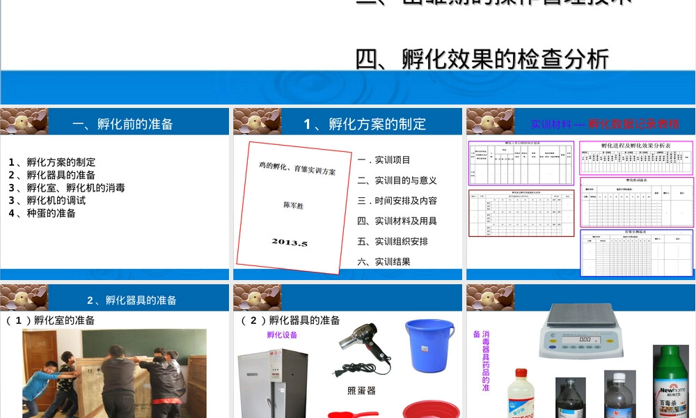 孵化管理技术教学PPT课件.ppt