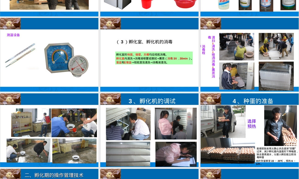 孵化管理技术教学PPT课件.ppt