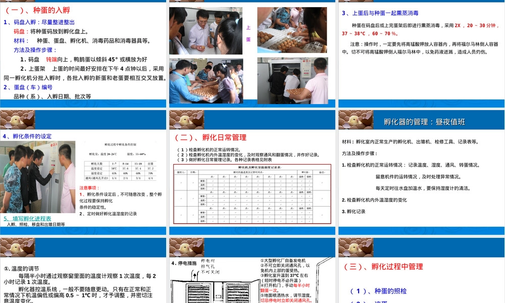 孵化管理技术教学PPT课件.ppt