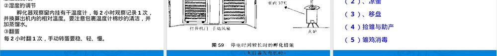 孵化管理技术教学PPT课件.ppt