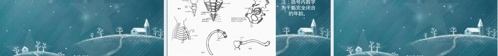 骨龄及其测评方法PPT课件.ppt