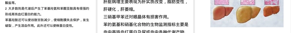 第四章芳香烃及其代谢产物测定教学PPT课件.ppt