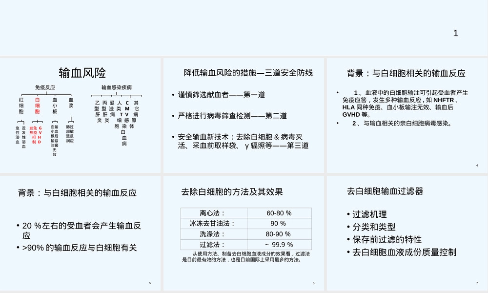 去白细胞滤器全血血袋PPT课件.ppt