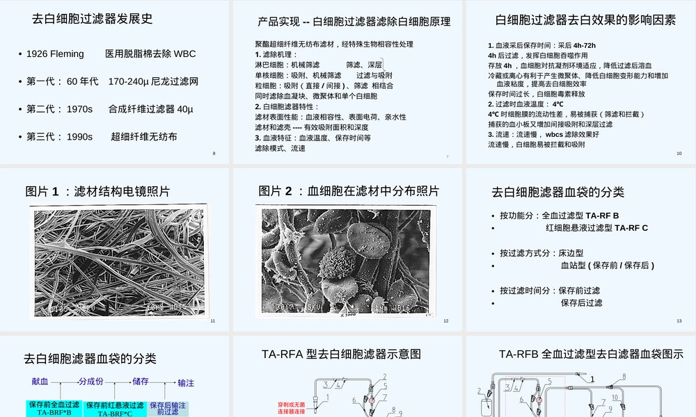 去白细胞滤器全血血袋PPT课件.ppt