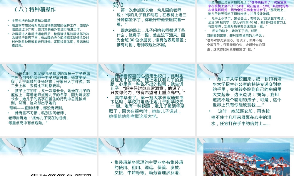 集装箱码头检查桥业务与箱务管理PPT课件.ppt