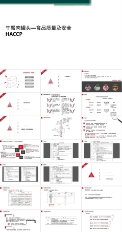 午餐肉罐头食品安全HACCP管理PPT课件.ppt