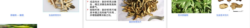 继电保护基本元件与测试仪器PPT课件.ppt