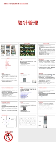 验针管理PPT课件.pptx