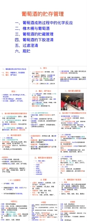 葡萄酒的贮存管理PPT课件.ppt