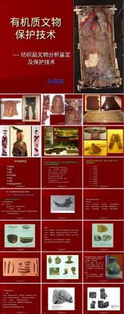 文物保护学纺织品保护技术PPT课件.ppt