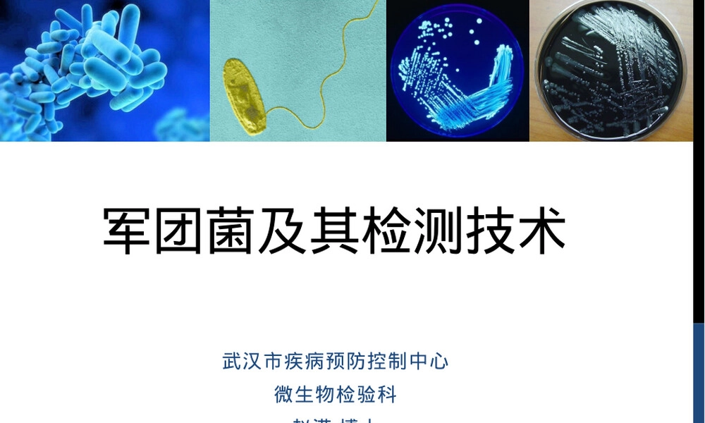 军团菌及其检测方法PPT课件.pptx