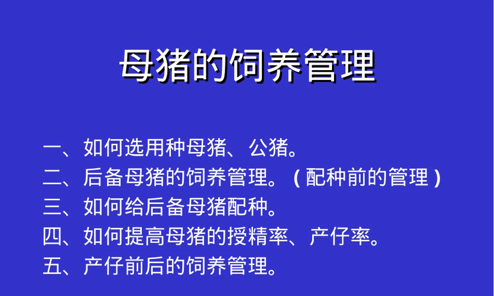 种猪的饲养管理PPT课件.ppt