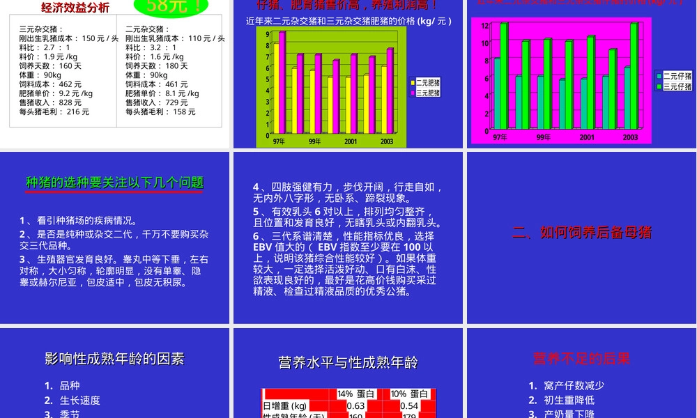 种猪的饲养管理PPT课件.ppt