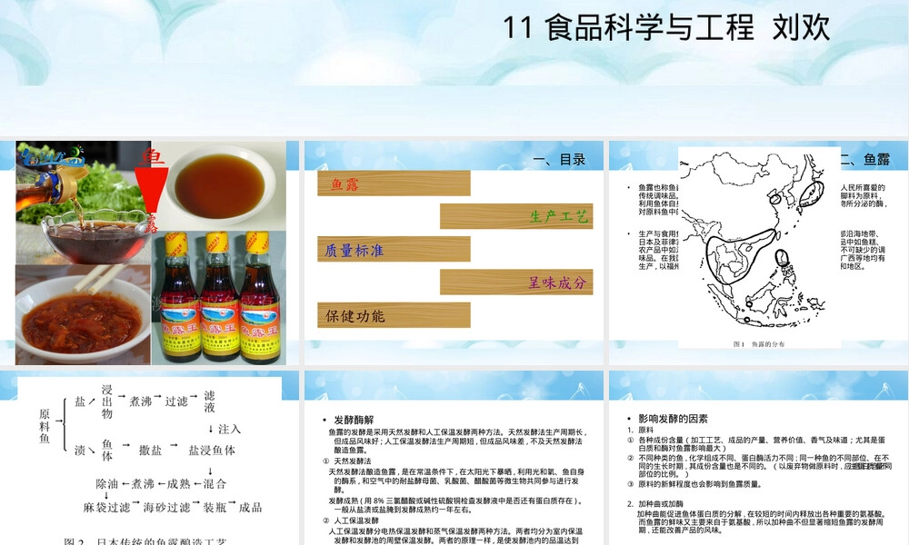 鱼露及其生产技术PPT课件.ppt