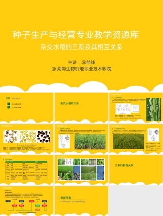 杂交水稻三系法及其相互关系教学PPT课件.pptx