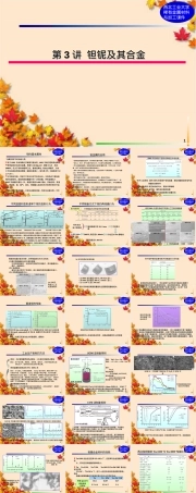 钽铌及其合金PPT课件.ppt