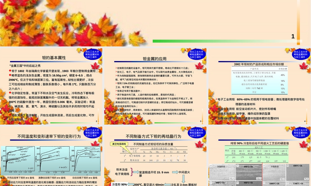 钽铌及其合金PPT课件.ppt