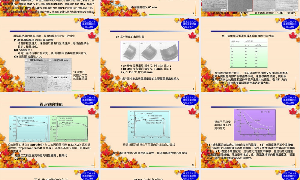 钽铌及其合金PPT课件.ppt