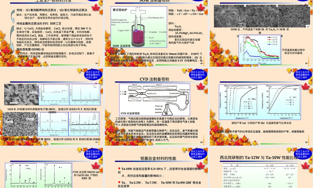 钽铌及其合金PPT课件.ppt