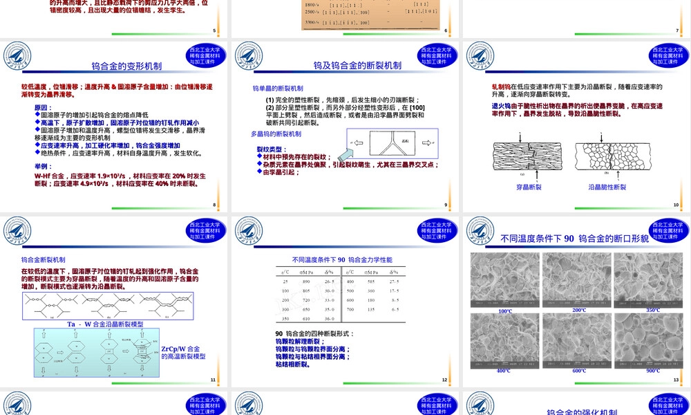 钨钼及其合金PPT课件.ppt