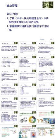 渔业管理PPT课件.ppt