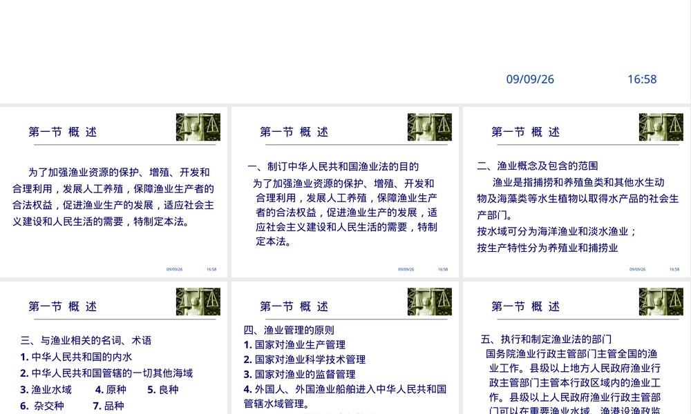 渔业管理PPT课件.ppt