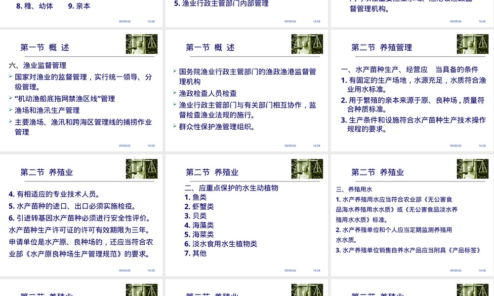 渔业管理PPT课件.ppt