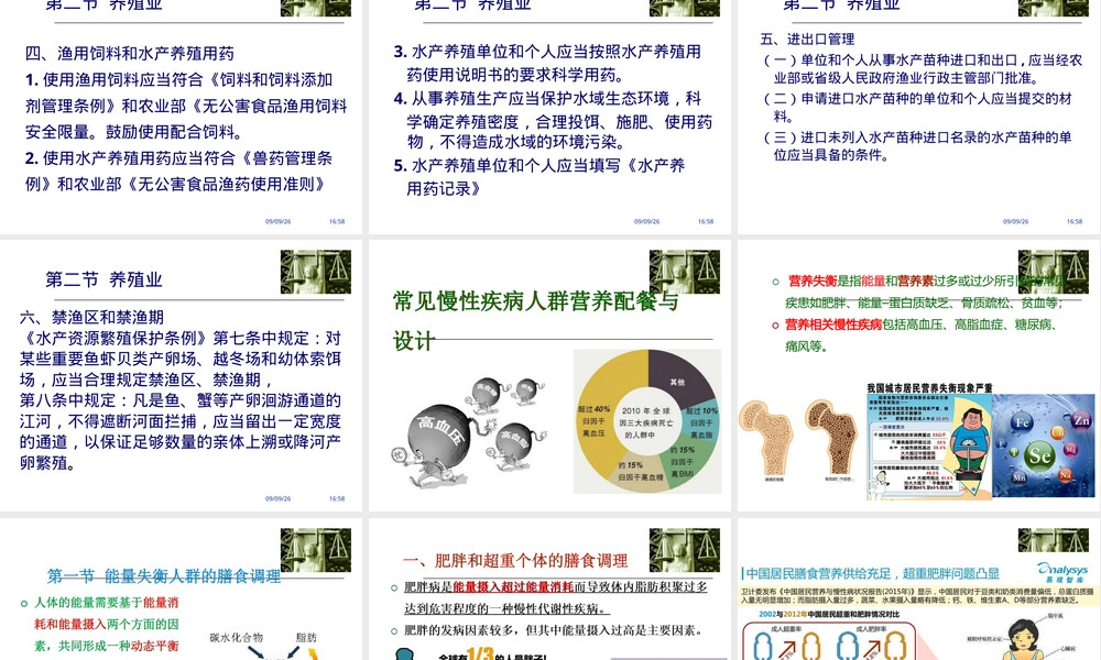 渔业管理PPT课件.ppt