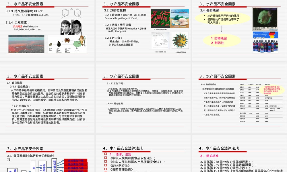 水产品质量安全与管理PPT课件.ppt