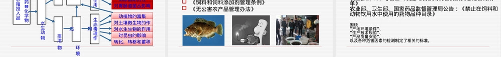 水产品质量安全与管理PPT课件.ppt