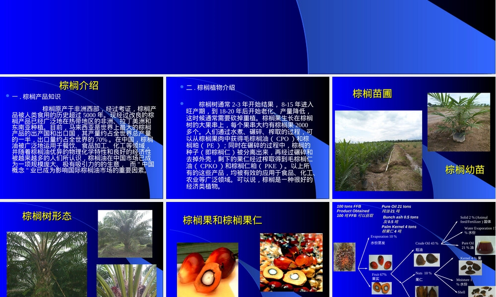 棕榈油基础知识讲座PPT课件.ppt