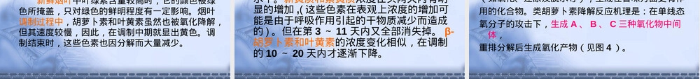 烟草香味前体物质及其降解转化PPT课件.ppt