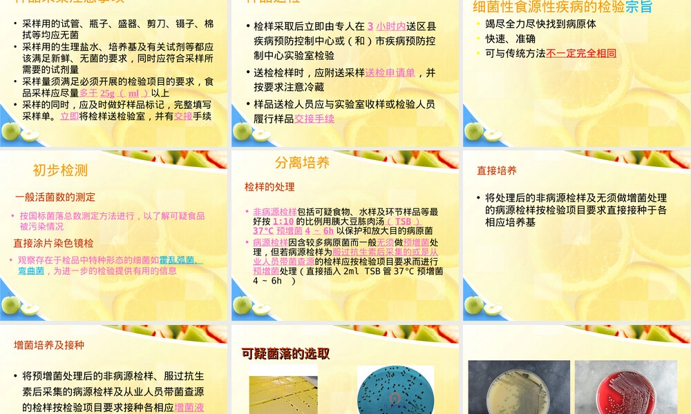 细菌性食源性疾病及其病原学检验规程PPT课件.ppt