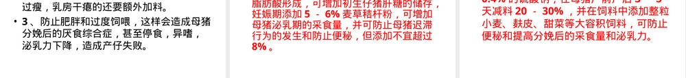 种猪饲养管理操作规程PPT课件.ppt