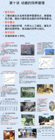 幼鹿的饲养管理PPT课件.ppt