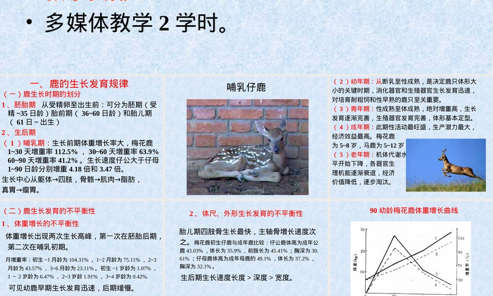 幼鹿的饲养管理PPT课件.ppt