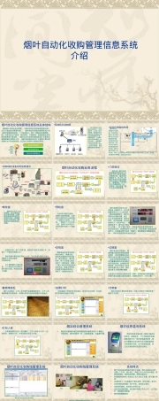 烟叶自动化收购管理信息系统PPT课件.ppt