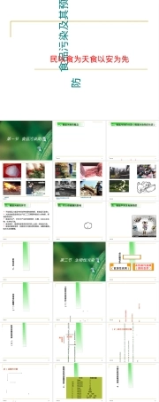 食品污染及其预防培训PPT课件.ppt