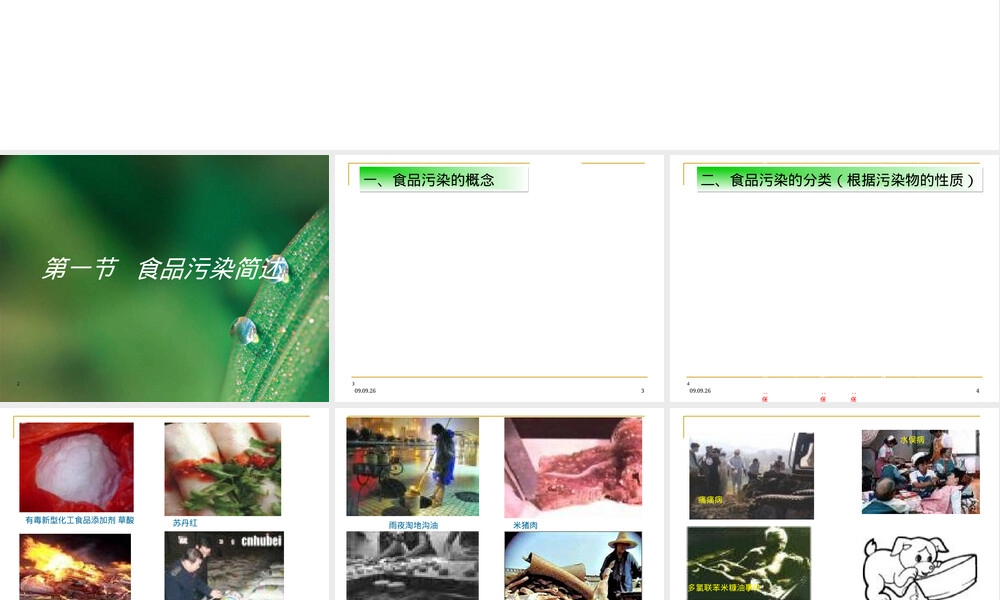食品污染及其预防培训PPT课件.ppt