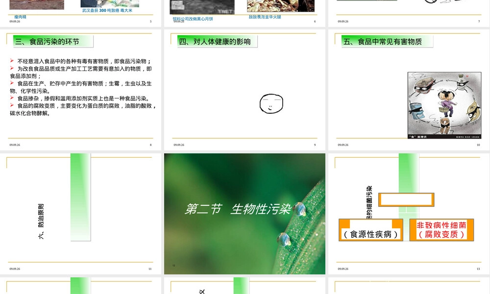 食品污染及其预防培训PPT课件.ppt
