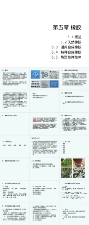 塑料与橡胶高分子材料第五章橡胶教学PPT课件.ppt